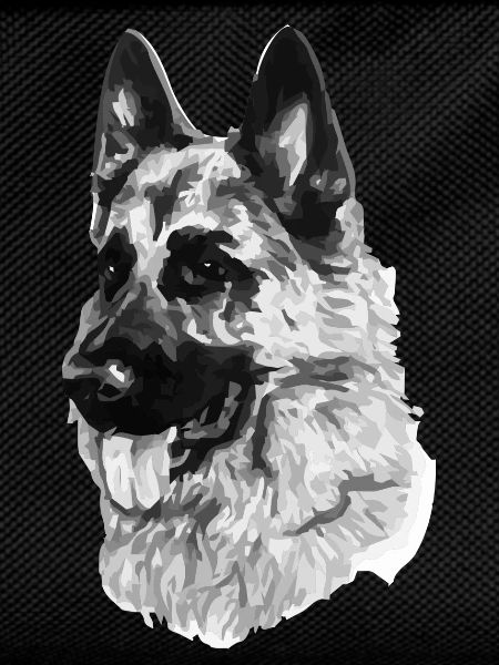German shepherd