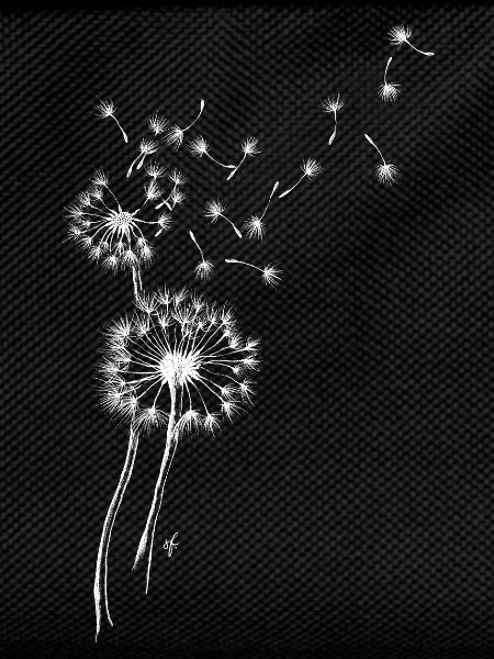 Dandelions
