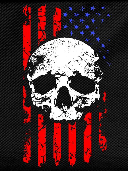 American Flag Skull