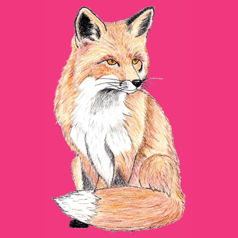 Petit renard des forêts - un compagnon doux
