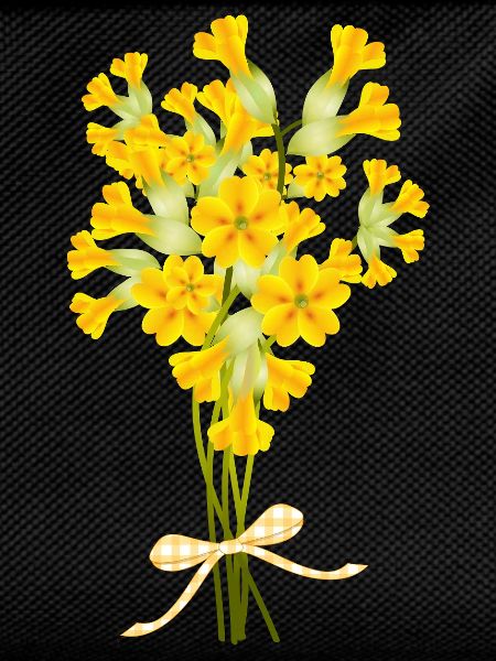 Cowslip Bouquet - Spring Illustration