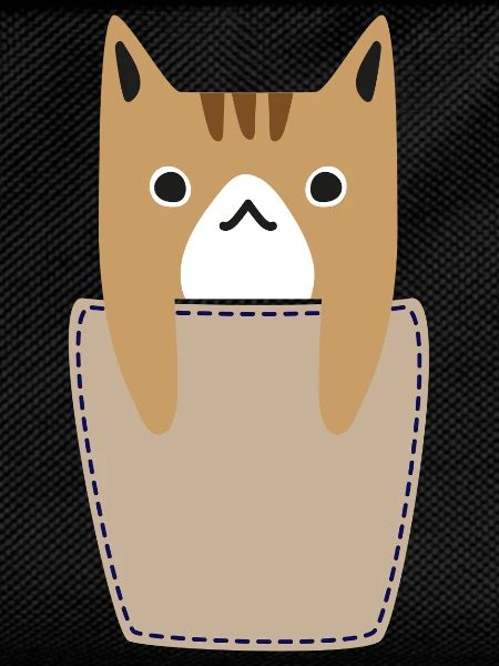 Chest pocket with cat