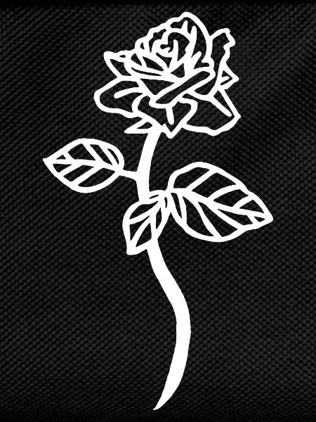 Die Weiße Rose