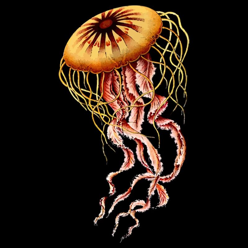 La méduse