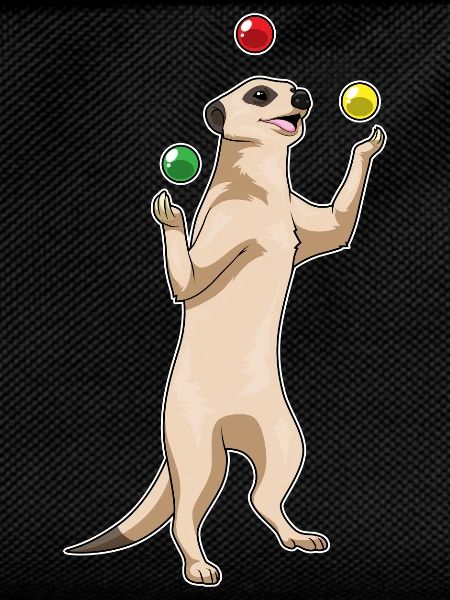 Meerkat juggler juggling
