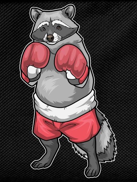 Waschbär Boxer Boxhandschuhe Boxen