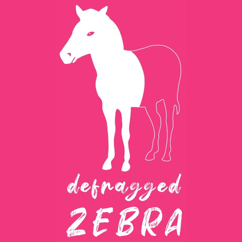 Defragged Zebra Informatiker Admin Geek Geschenk