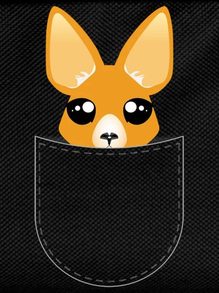 Kangaroo in the pocket