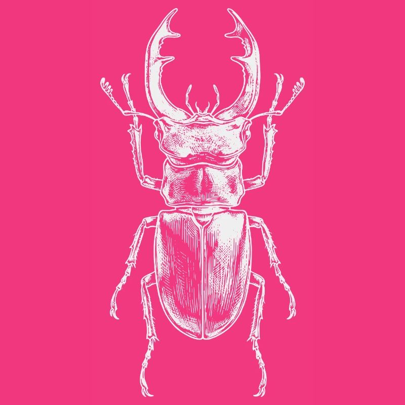 Conception de gros insectes