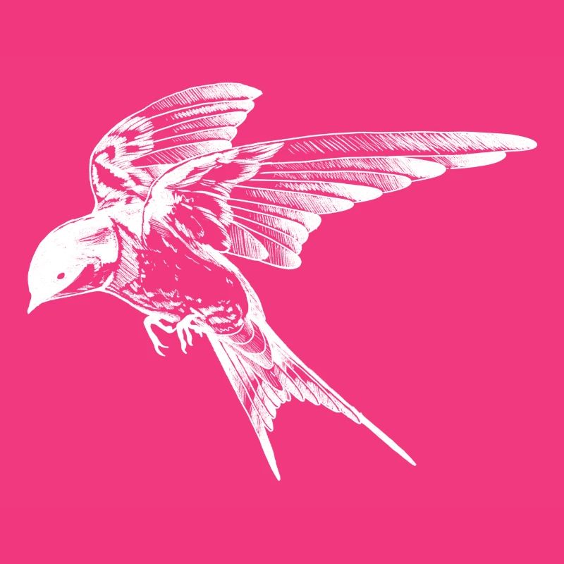 Fliege mit Stil: Die Schwalbe Invert