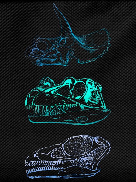 Dinosaur Skulls