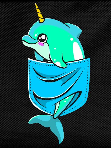 Narwhal