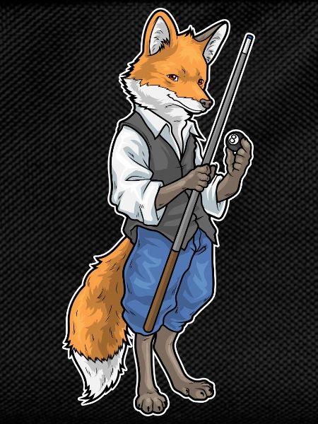 Fuchs Billiard Queue Sport