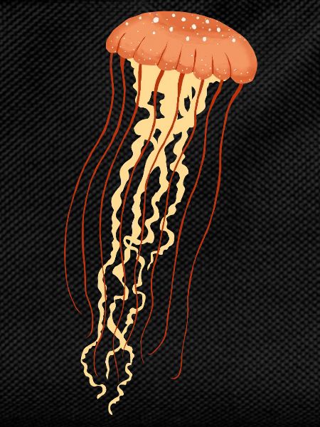Jellyfish 2