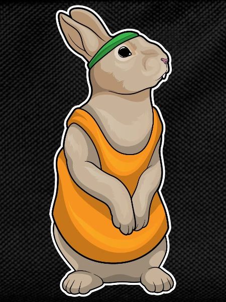 Bunny Jogger Jogging Sport