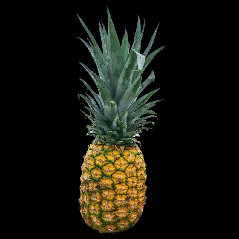 Pineapple Fruit