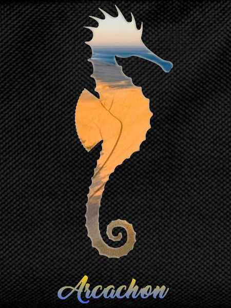 Arcachon seahorse