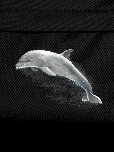 Delphin