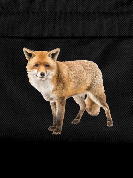 Fuchs