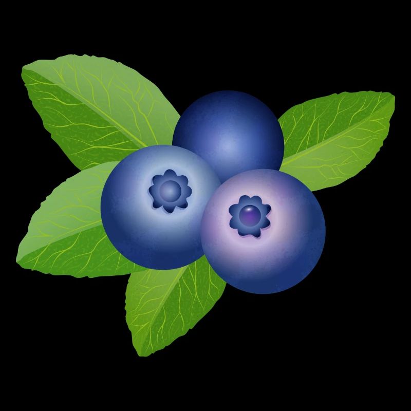 drei leuchtend blaue Heidelbeeren mit Blätter