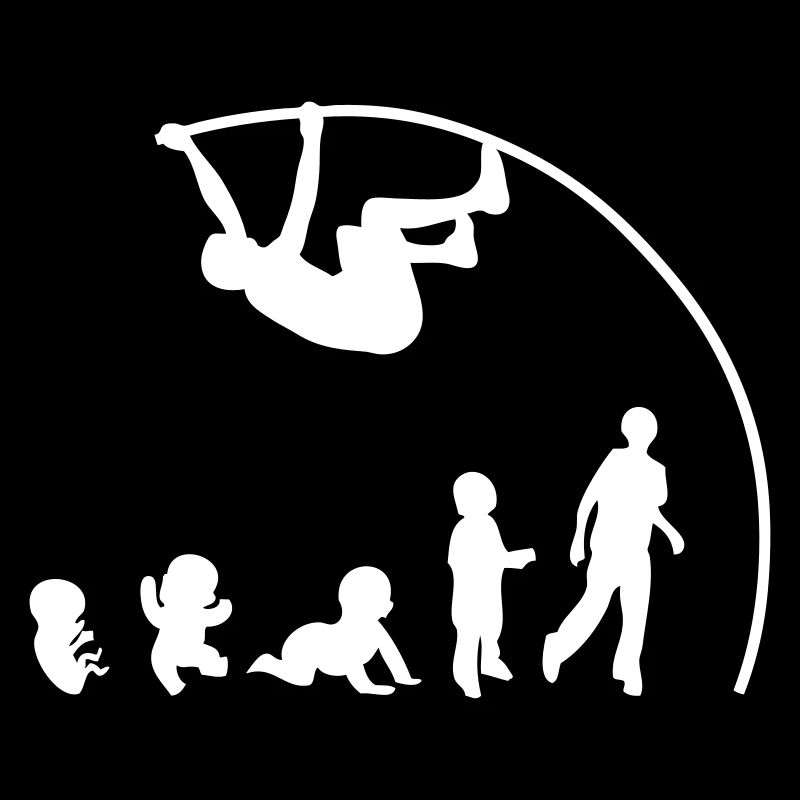 Evolution pole vault perch