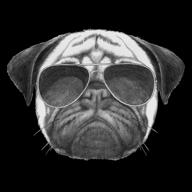 mops pug