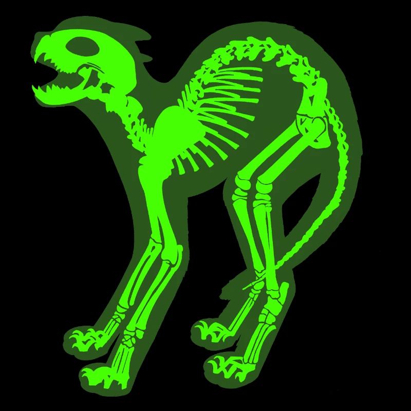 Skeleton Cat