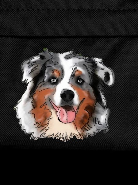 Australian Shepherd