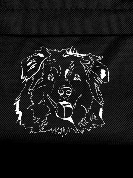 Australian Shepherd