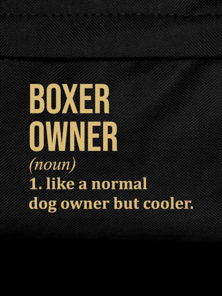Boxer Boxer Boxer