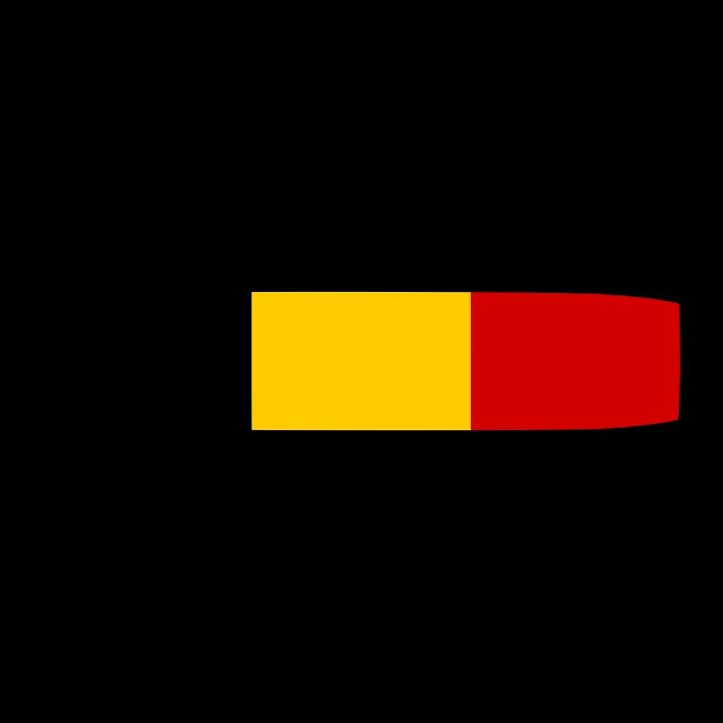 Drapeau belge