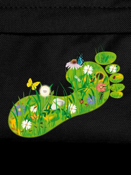 ecological Footprint