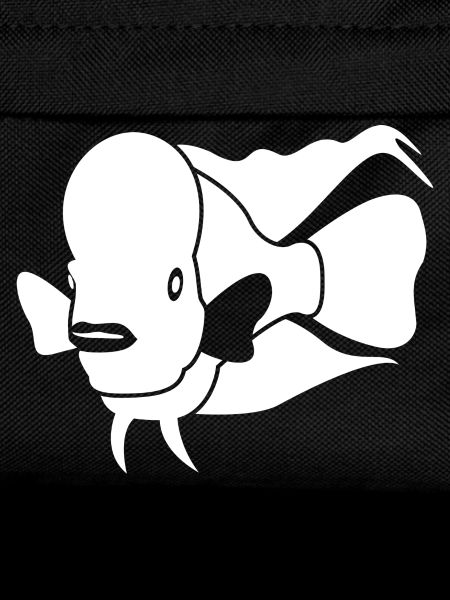 Aquaristic Aquarium