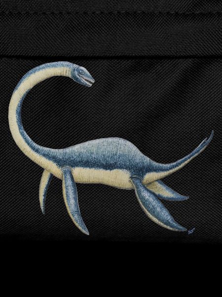 Dinosaure Plesiosaurus