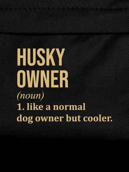 Husky Husky Husky