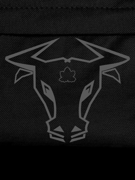 Stier_002a