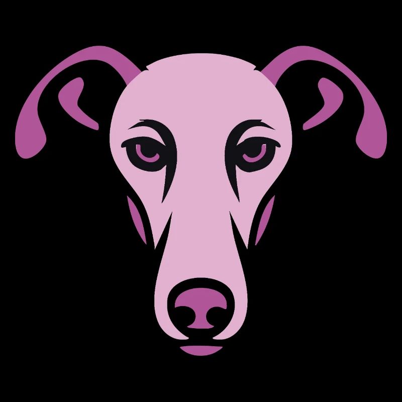 Greyhound, Galgo