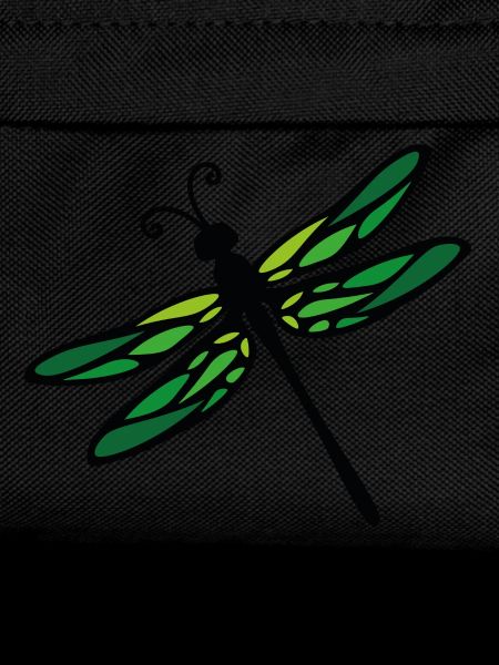 dragon-fly