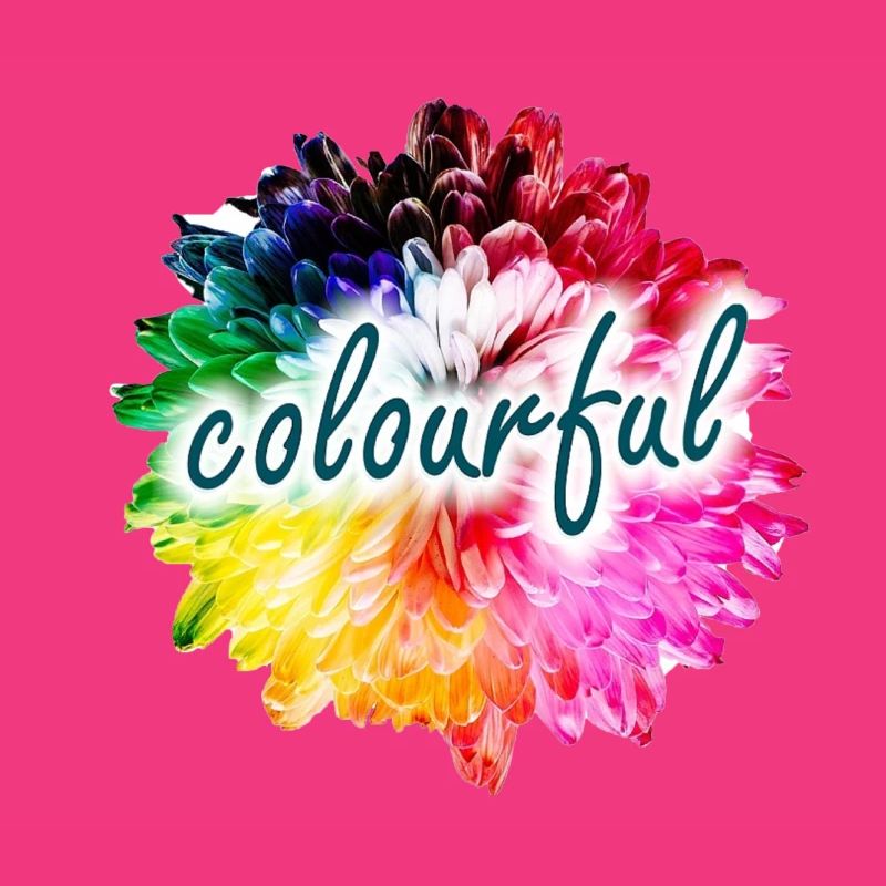 Explosion des couleurs des fleurs arc-en-ciel