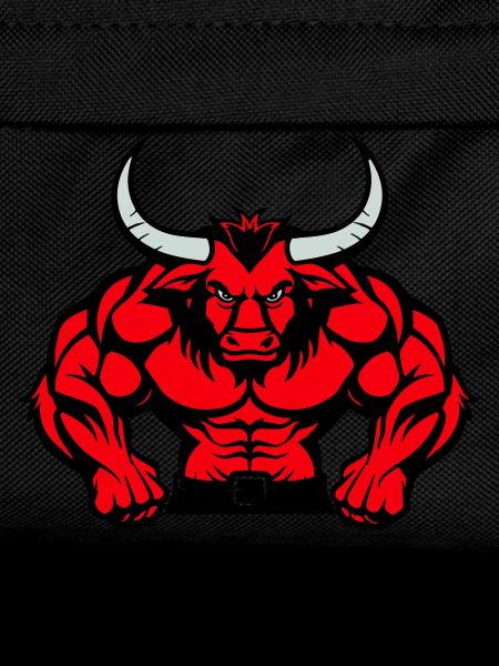Bull Animal