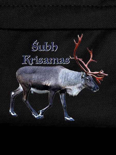 Subh Krisamas