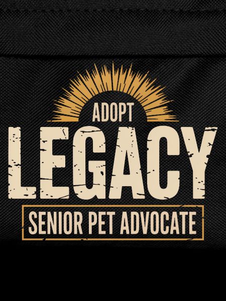 Adopt Legacy Senior Pets