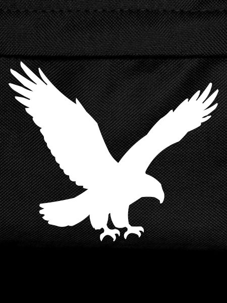 Silhouette d’aigle