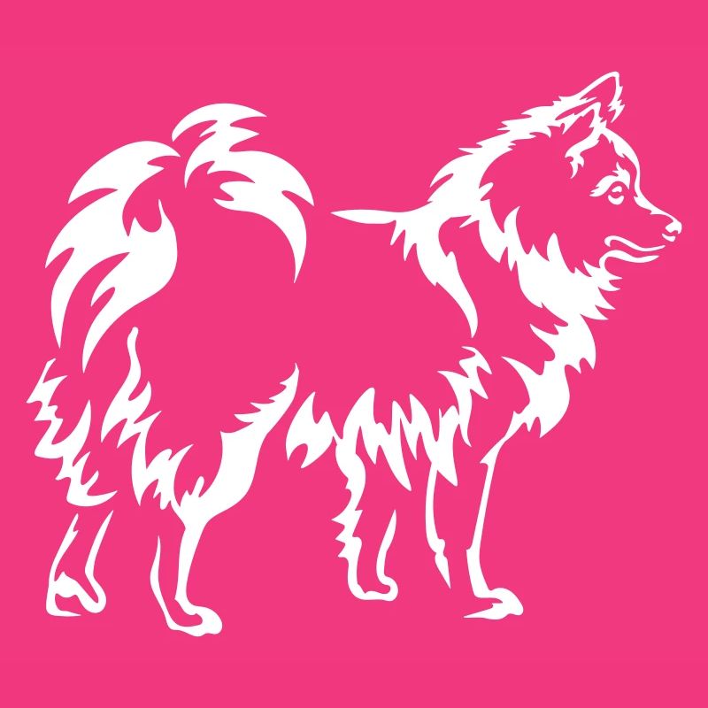 Spitz « Édition Noire »