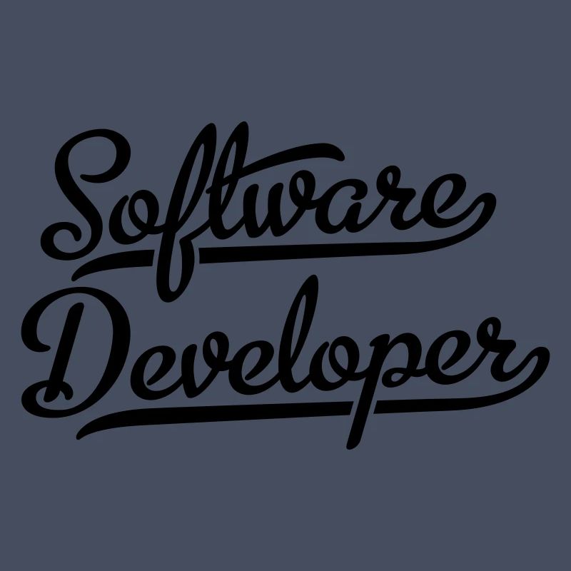 Software Developer