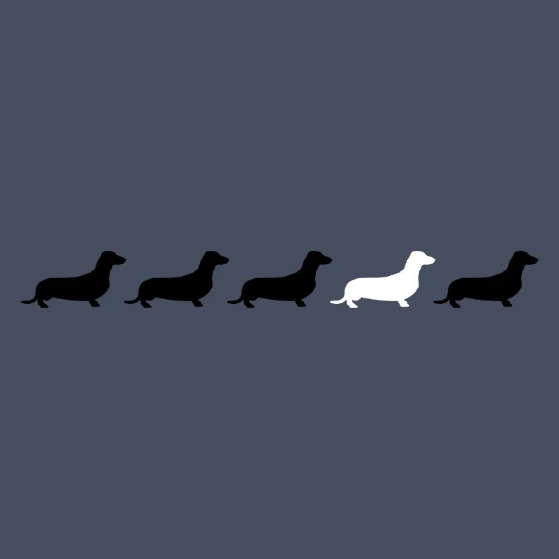 dachshund