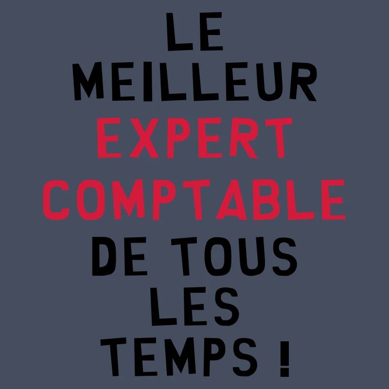 Expert Comptable / Comptabilité / Comptable /