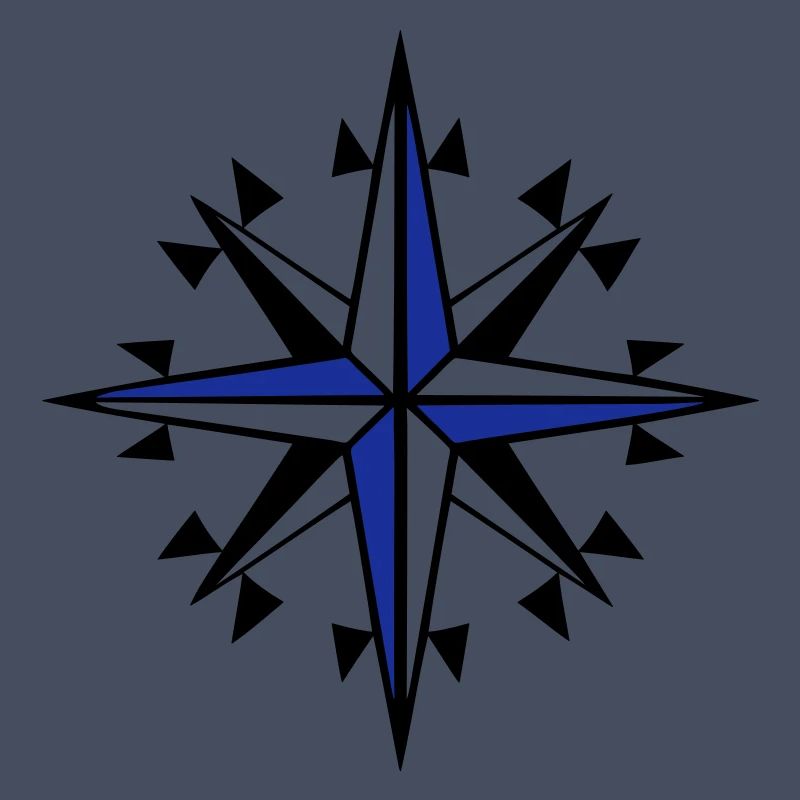 compass, compass, wind rose