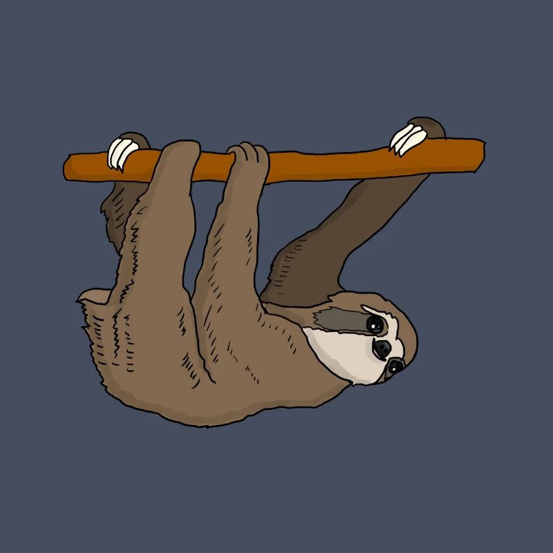 sloth