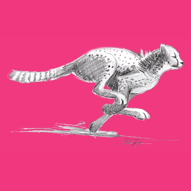 Guépard